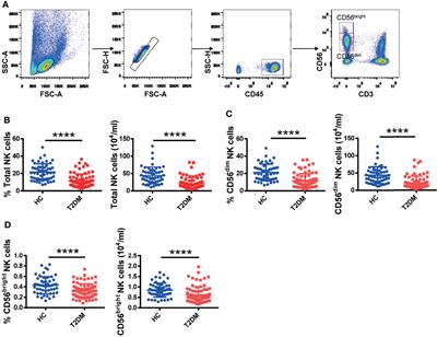 Tim-3 Expression Causes NK Cell Dysfunction in Type 2 Diabetes Patients